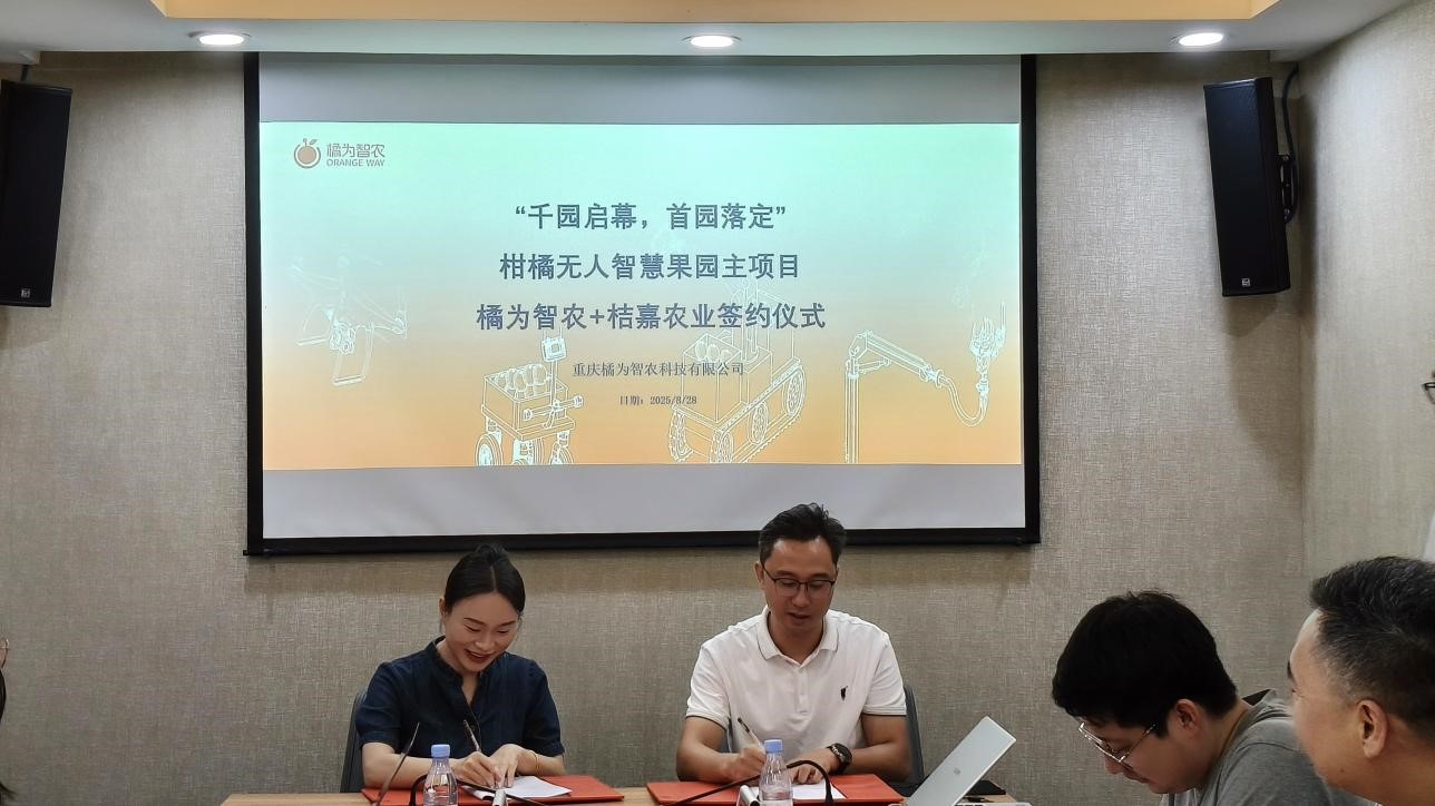 智启千园梦，橘香绘未来